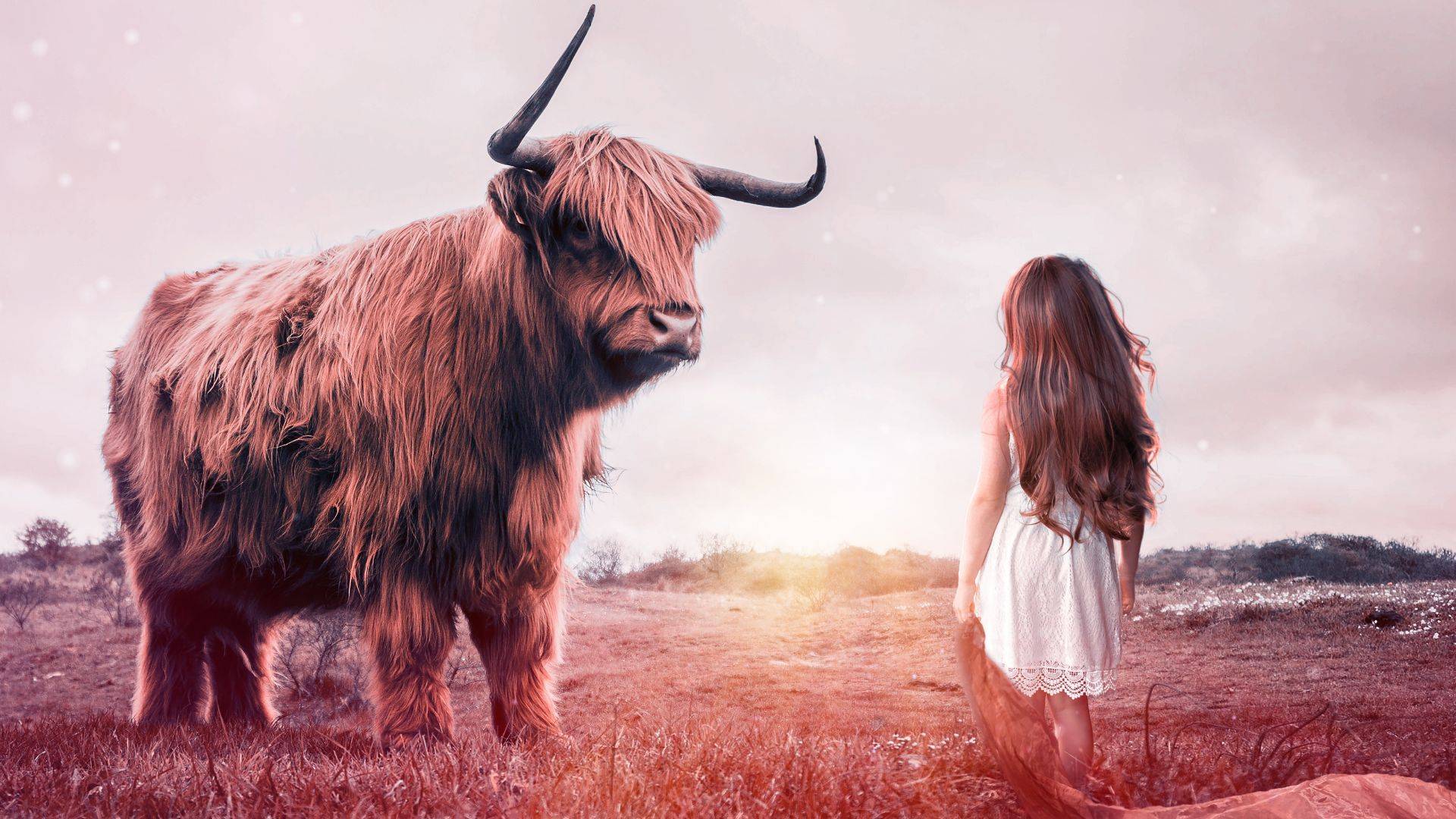 ameliorer-votre-culture-organisationnelle