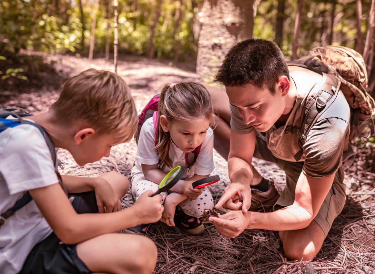 Secteur touristique list